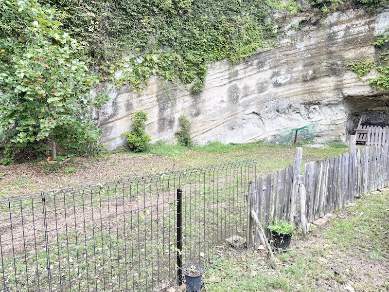 ドッグ&ベジレストラン トゥルシー ドッグラン