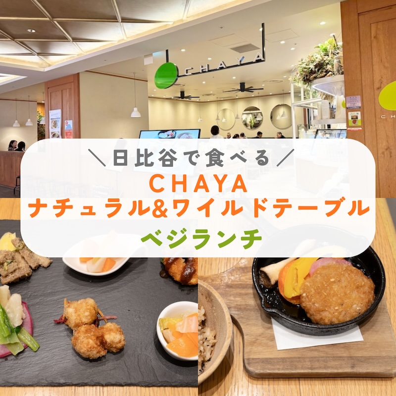 chayaナチュラル&ワイルドテーブル　ベジランチ